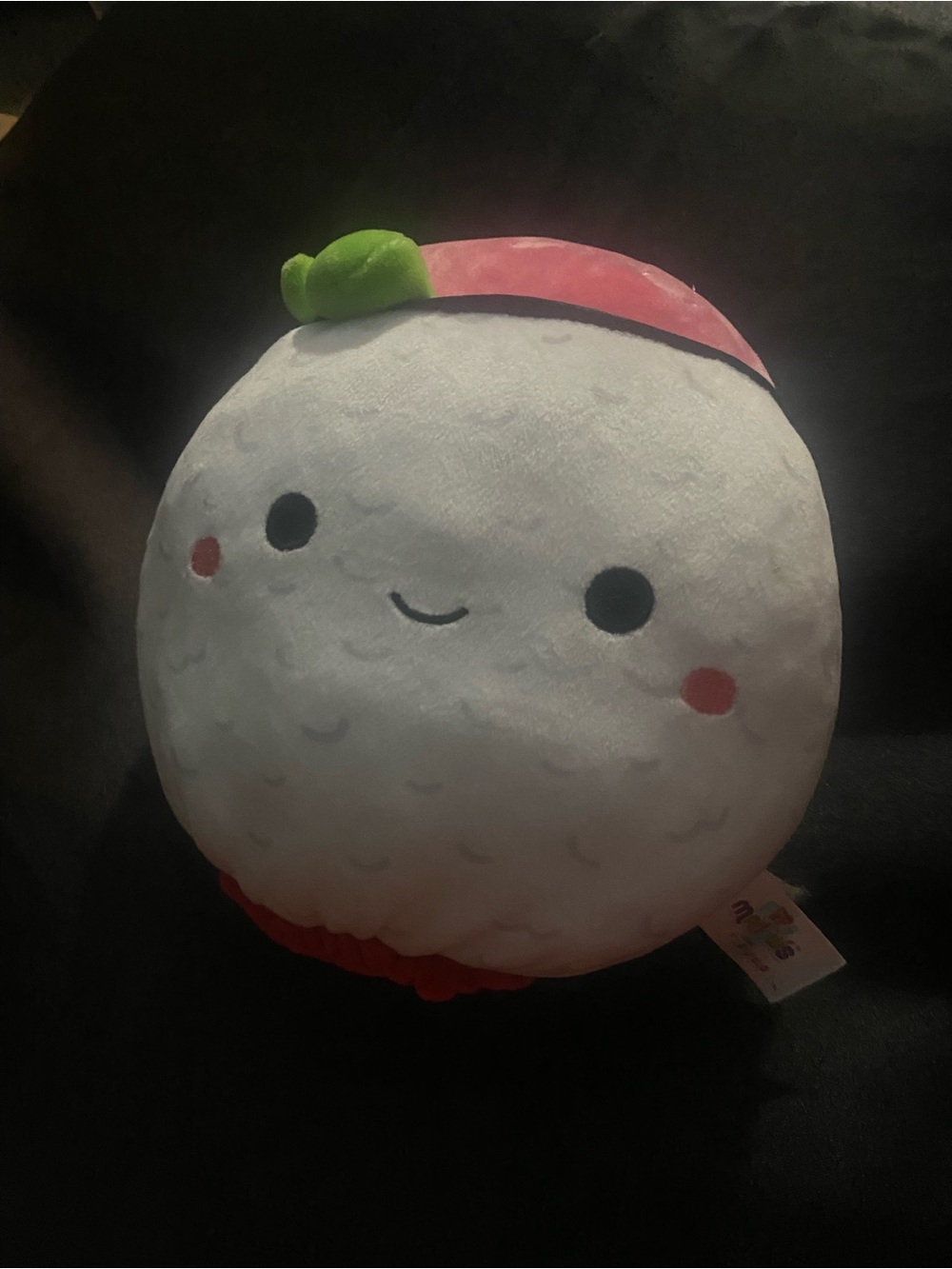 Whimsical food sushi or ramen squishmallow